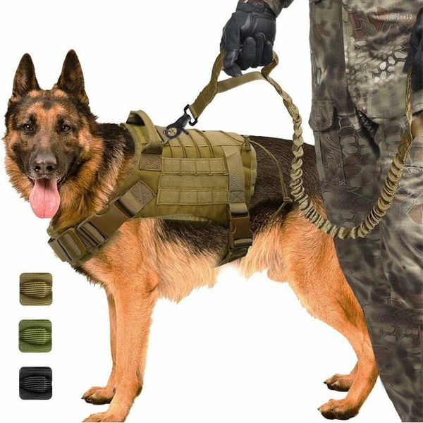 Collari per cani Cintura tattica Imbracatura Gilet Abbigliamento da lavoro militare Guinzaglio Set Molle per cani di taglia media
