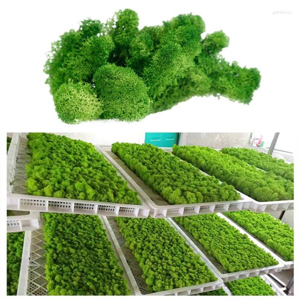 Flores decorativas verdes naturais verdes preservados musgo 200g/1 caixa duradoura no jardim de jardim de casamentos de decoração de flores planta artificial de flores