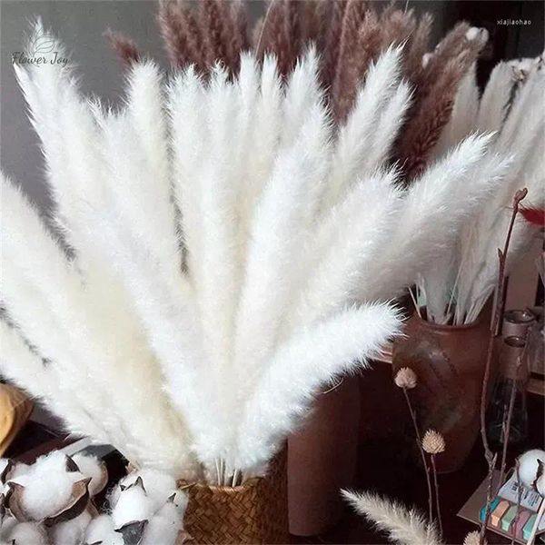 Flores decorativas natural fofo pampas secas branco pequeno buquê de junco para casamento decoração de casa festa outono dia das bruxas decoração de natal