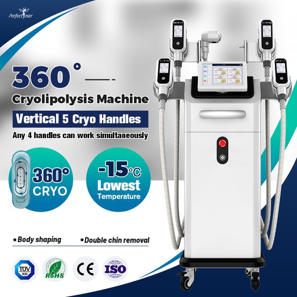 2024 Cryolipolysis gordura reduz a remoção de perda de peso máquina de emagrecimento corporal mini crio queixo duplo equipamento de beleza