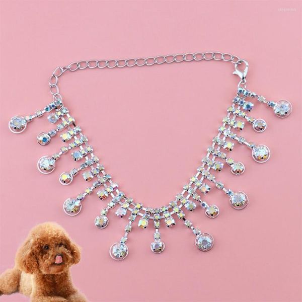 Hundehalsbänder Anti-Rost Fashion Faux Pearl Exquisite Pet Neck Chain Leichte Anhänger Halskette Romantic For Store