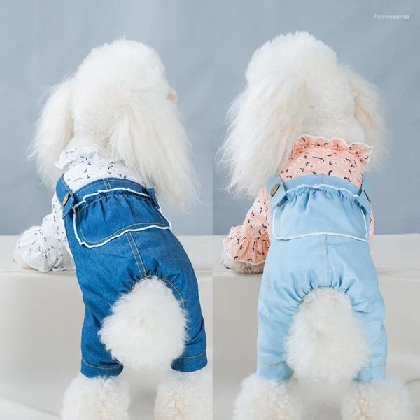 Hundebekleidung, modische Kleidung, dünne Jeans, vierbeinig, mit Spitze, Prinzessinnen-Haustier-Overall für Hunde, Vier-Jahreszeiten-Body