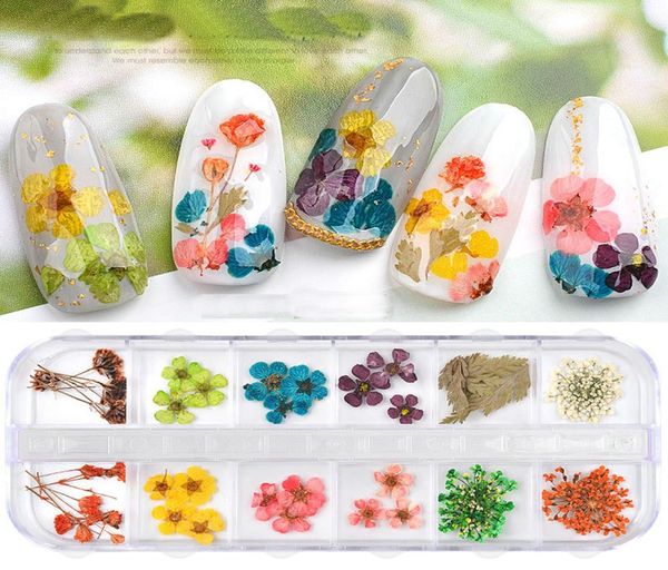 2Boxbag 12Colorsbox Flores Secas Decorações de Arte de Prego 3D Margarida Natural Flor de Sol Seco Floral DIY Adesivos Manicure Design de Verão 4491437