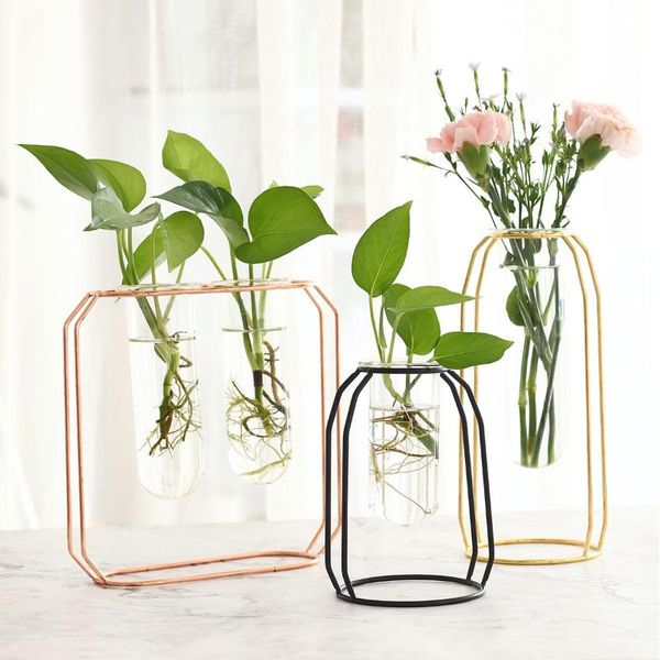Vasos nórdicos inseto de ouro rosa de rosa arte de teste de tubo de vidro de vidro de vidro Decoração de plantas de planta de planta de planta hidroponia