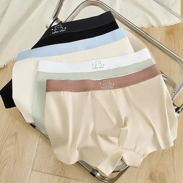 Cuecas 2023 urso bonito penteado algodão roupa interior masculina antibacteriana virilha cor sólida outono e inverno boxers