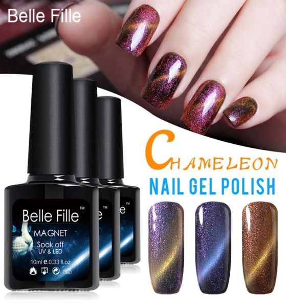 Tutto il Set Completo 10ml UVLED Chameleon Cat Eye Gel per unghie magnetico Smalto nero coatmagnet Nail Art fai da te Gel per unghie a lunga durata7381683