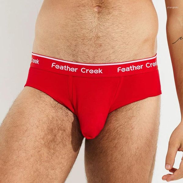 Cuecas Sexy Masculino Cueca Modal Boxers Bolsa Oversized Gay