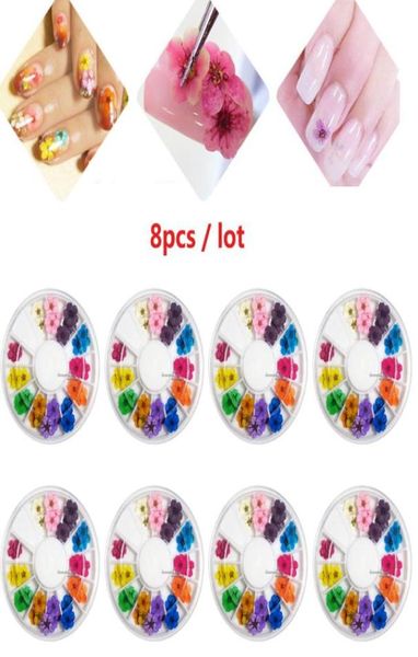 8pcsset unhas adesivos roda 12 cores flor seca real para 3d uv gel acrílico dicas falsas nail art salon4510557