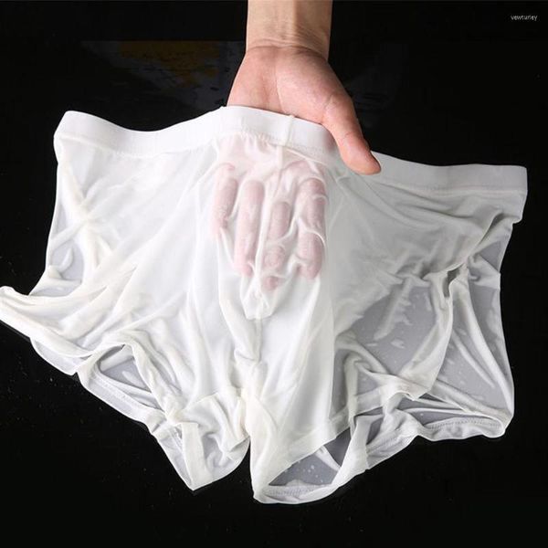 Cuecas boxeadores transparentes de seda gelo Bulge veja através de resumos sexy calcinha de cintura baixa lingerie indica a cueca masculina