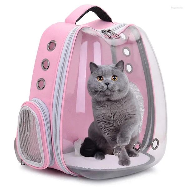Переноска для собак 2023, сумка для кошек и собак, рюкзак с двойным плечом, портативный, для путешествий, на открытом воздухе, M