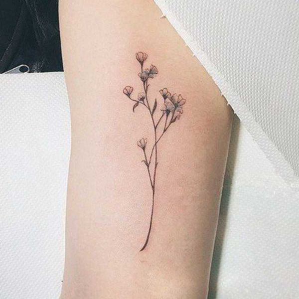 5 PC Tatuagens temporárias Tatuagem de tatuagem temporária TATO TATO DE BABIL DE BEBÊ SEXY TATTO TATTO PODOS PENOS DE PENAS DE PENAS TRANSFERÊNCIA DE ÁGUA FLASH TATOO Z0403