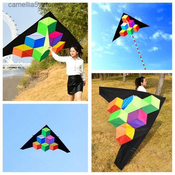 Kite Acessórios frete grátis alta qualidade Passo a passo kite com alça linha kite tecido ripstop kite fábrica kitesurf cerf volant guarda-chuva Q231104