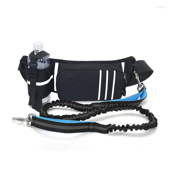 Collari per cani Accessori per animali domestici da passeggio Colletto per cintura personalizzato Set di imbracature in nylon riflettente Guinzaglio retrattile per correre con