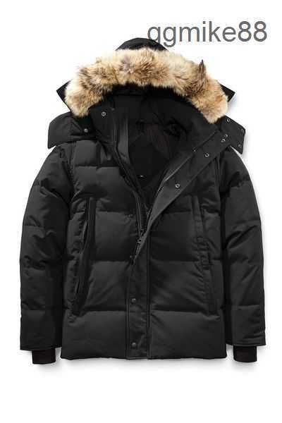 Canda Goose Men Herren Wintermäntel Jacken Fourrure Down Parka Goosee Jacket Homme Jassen Oberbekleidung Wolf Fur Hooded Manteau Wyndham Jacket Coat Hiver HLRB