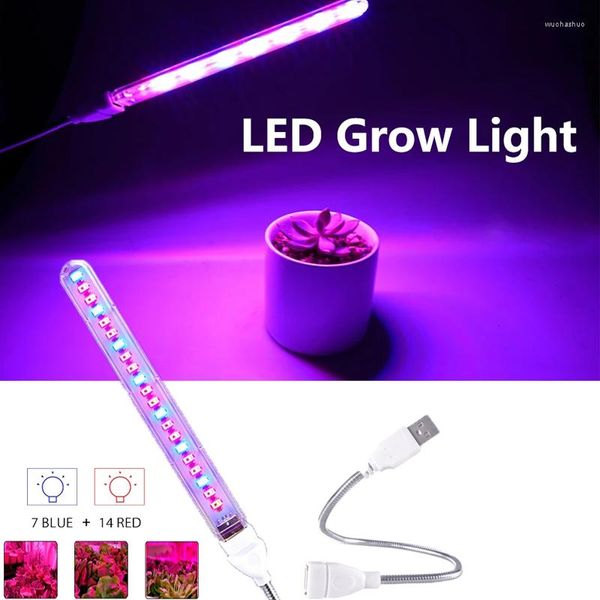 Grow Lights Led Growing Light Indoor Supplement Plant Lamps Greenhouse Phyto Lamp Red Blue Hydroponic Strip