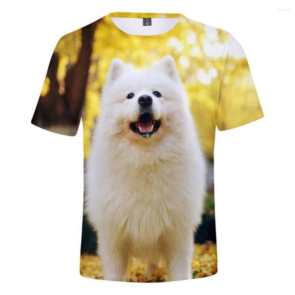 Camisetas masculinas Camisetas fofas Samoied 3D T-shirt Street Street Harajuku Kpop estilo cães e mulheres roupas de mangas curtas