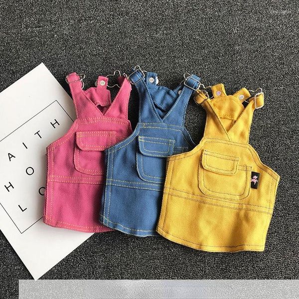 Abbigliamento per cani Gonna alla moda con guinzaglio in denim per cani di piccola e media taglia Bei vestiti Animali domestici Cuccioli autunnali