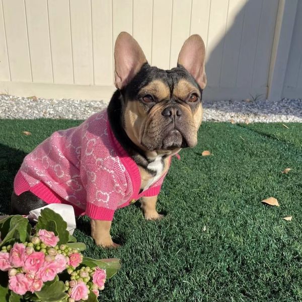 Designer roupas para cães suéter para animais de estimação inverno quente malha frio animais de estimação casacos pulôver roupas para animais de estimação