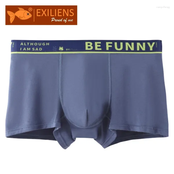 Unterhosen EXILIENS BE FUNNY Baumwolle Boxer Männer Unterwäsche Bermuda Ropa Interior Herren Boxer Cuecas Masculinas Mann Calzoncillos L-3XL BCS1012