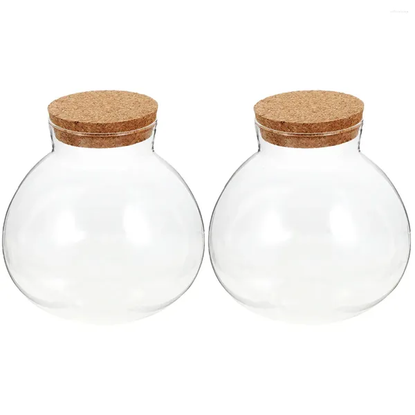 Набор ваз из 2 микроландшафтных экологических бутылок, стеклянных мини-горшков, пустого контейнера для мха, цветов