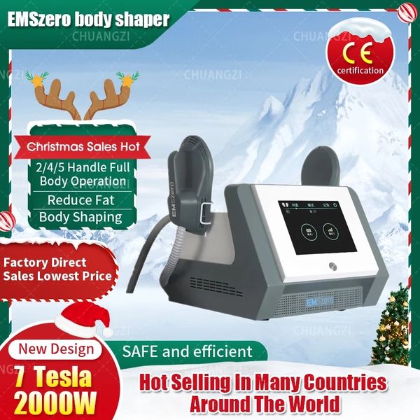 DLS-EMSLIM NEO Portable Electromagnetic Body Emszero Slimming Muscle Stimulate Fat Removal Body Slimming Build Muscle Machine Other Beauty Equipment