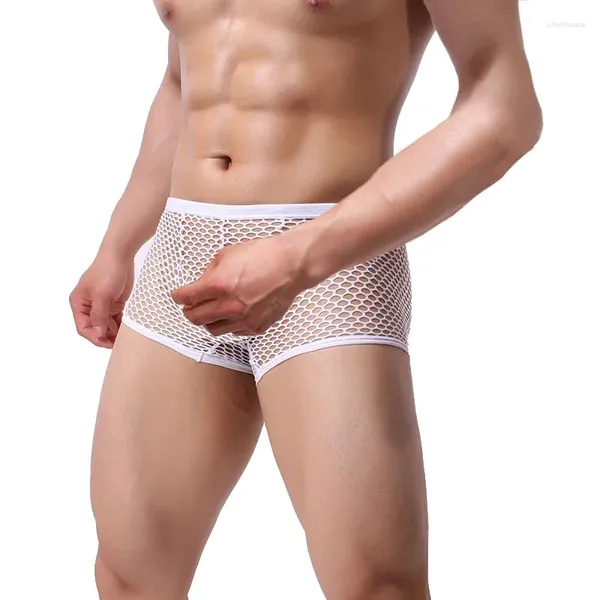 Mutande CLEVER-MENMODE Biancheria intima sexy da uomo Boxer a rete trasparente Lingerie erotica Tronchi Boxer Mutandine Pantaloncini Fondi