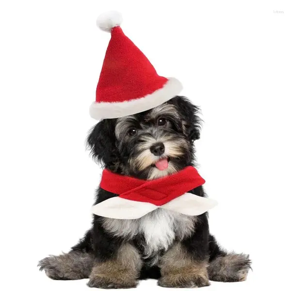 Coleiras para cães lenço de Natal com chapéu de Papai Noel para animais de estimação para cães e gatos conjunto de suprimentos para vestir