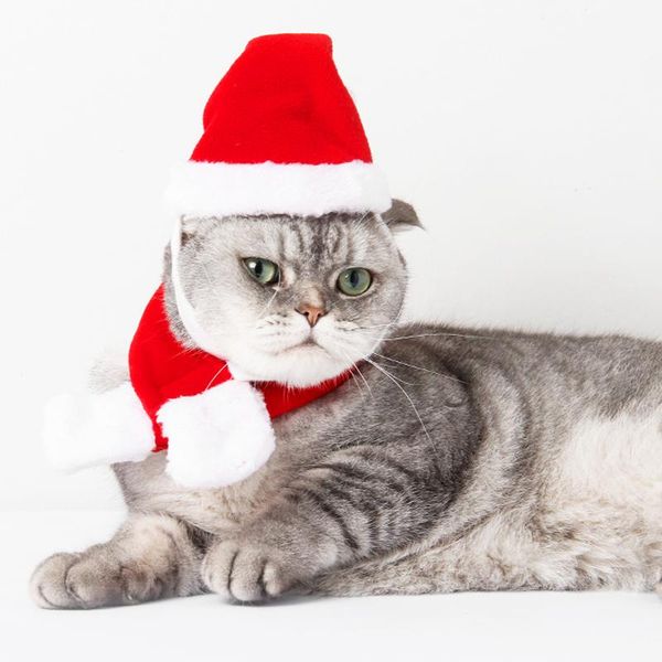 Collari per gatti Guinzagli Buone vacanze di Natale Cappotto invernale caldo Antlers Fascia per capelli Cucciolo di cane Sciarpa Fornitura di prodotti