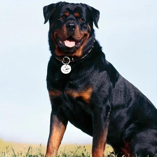 Hundemarke, personalisiertes Schild für Haustierhalsband, gravierter Schriftzug, Abzeichen-Zubehör, kostenlose Gravur des Namens von Kätzchen und Welpe