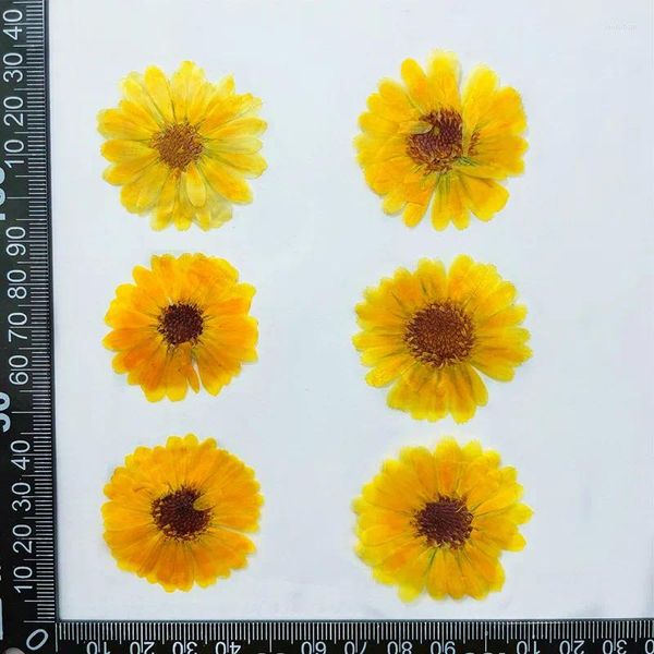 Fiori decorativi 3-6CM/24PCS Real Natural Secchi Mini pressati Calendula Officinalis Teste per gioielli in resina Inviti di nozze Unghie