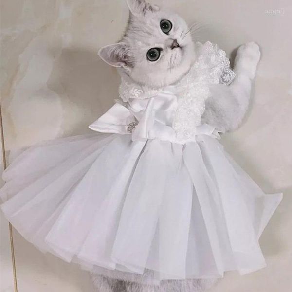 Costumi per gatti Abbigliamento per animali domestici per cani Abito da sposa bianco per vestiti per cani Piccolo carino Sottile Primavera Estate Moda Trend Ragazza Accessori Yorkshire