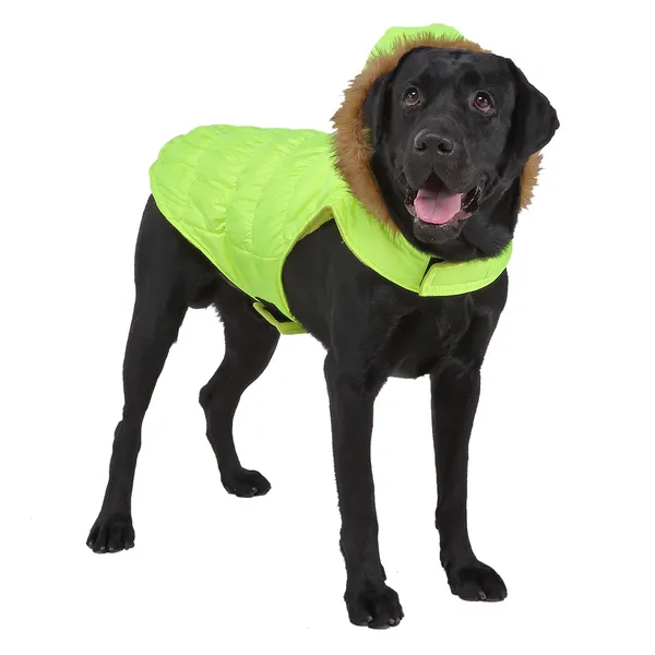 Giacca con cappuccio per cani, cappotti invernali caldi per cani da esterno, vestiti per cani Piumino leggero impermeabile per cani da compagnia Gilet per cani per la stagione fredda, Verde