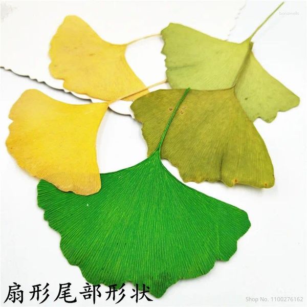 Flores decorativas 100 peças secas naturais prensadas folhas de ginkgo biloba flores secas adesivo floral beleza marcadores de arte de unhas