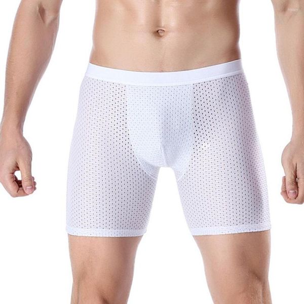 Mutande Pantaloncini boxer traspiranti in maglia di seta ghiaccio da uomo Intimo sexy Uomo Trunks Sport Palestra Pantaloncini piatti a gamba lunga U Custodia convessa