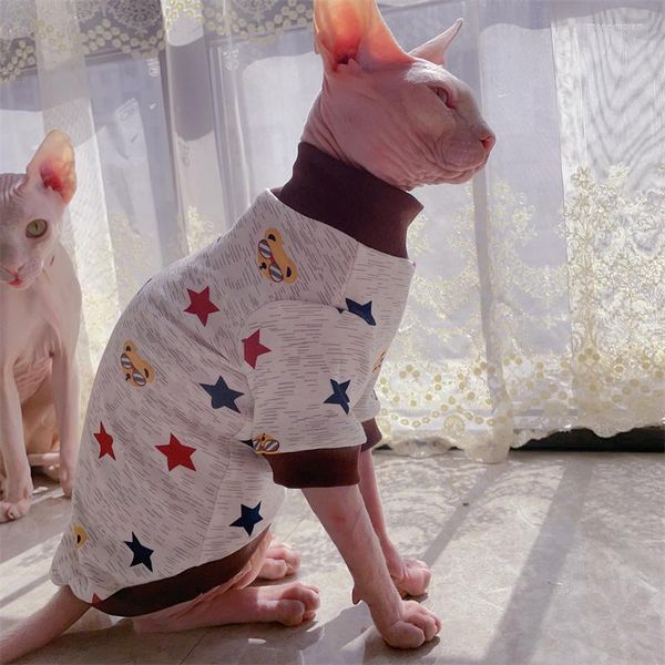 Kedi kostümleri moda bahar sfinx kıyafetleri tüysüz sevimli yıldız boyama baltleneck asma, dış giysiler için cilt dostu kazak