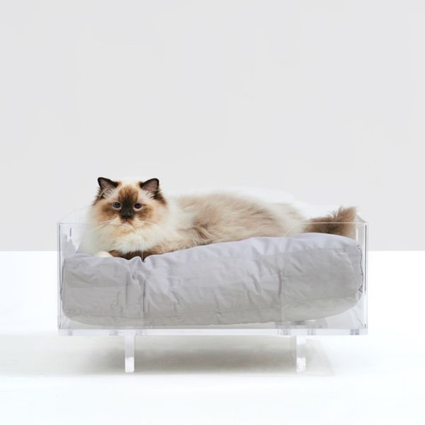 Современная прозрачная акриловая кровать для кошек и собак, акриловая подставка для домашних животных с красочной подушкой