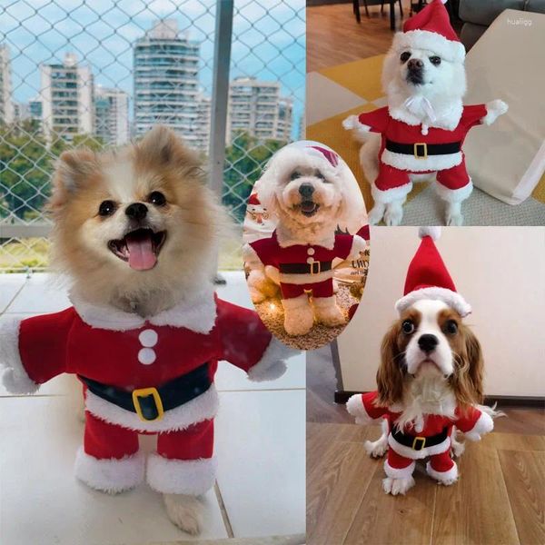 Köpek Giyim Evcil Hayvanlar Kıyafetleri Noel Moda için Komik Ceket Noel Noel Giyim Fors Chihuahua Noel Baba Ayakta Kostüm Kedileri