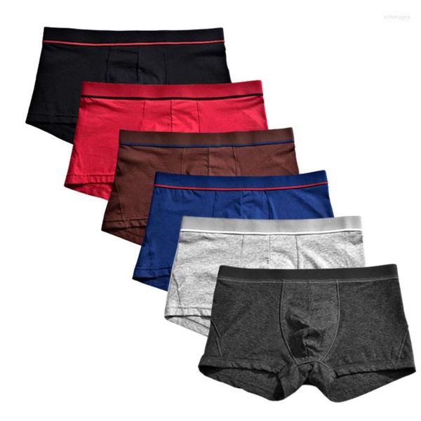Mutande 6 pezzi Uomo Big Size U Convex Underwear Boy Boxer Slip Undies Solid Knickers Mutandine Homme Shorts S M L XL 2XL 3X