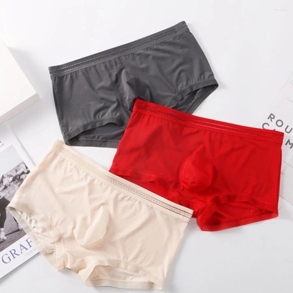 Cuecas sexy homens boxer malha transparente bolsa baixa ascensão briefs ultra-macio elasticidade de seda respirável lingerie