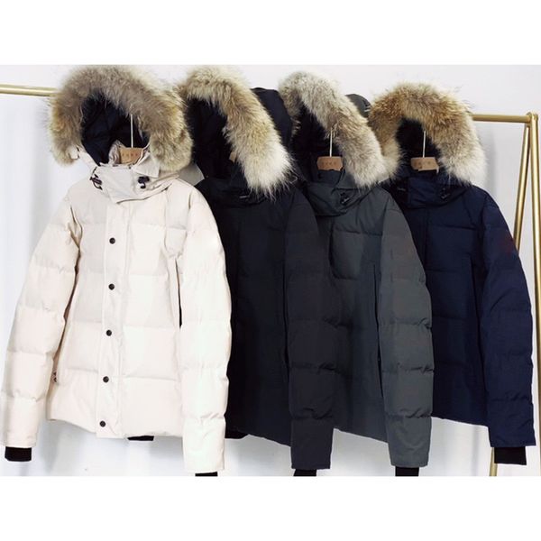 Homens de inverno para baixo jaquetas designer jaquetas coyote pele ao ar livre blusão jassen outerwear com capuz fourrure manteau para baixo casaco