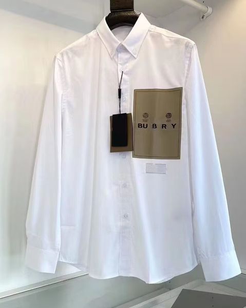 2023 Erkek Gömlek Üstteki Küçük At Kalitesi Nakış Bluz Uzun Kollu Düz Renk İnce Uygun Sıradan İş Giysileri Uzun kollu gömlek Normal Boyut Çok Renk