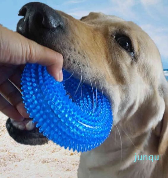 Giocattoli per animali domestici palla giocattolo vocale resistente ai morsi cane di grandi dimensioni con pelo dorato spinato