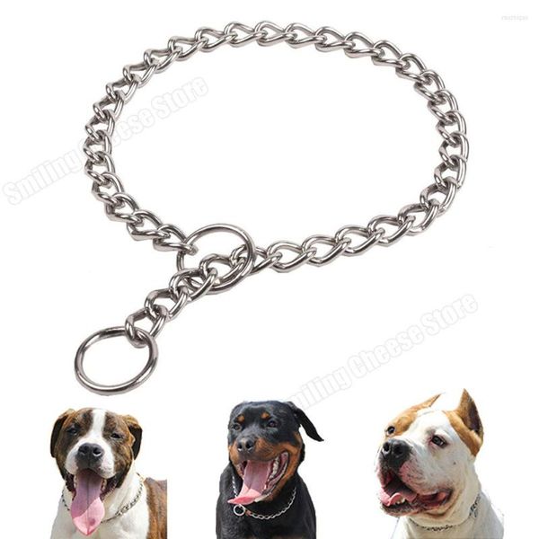 Collari per cani Robusto collare a catena piatta in acciaio inossidabile con doppio anello per cani di taglia grande German Sheperd Pitbull Boxer Rottweiler