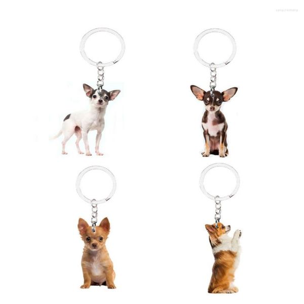 Anahtarlıklar Chihuahua Köpek Pet Pet 4pcs/Lot değil 3D Hayvan Çantası Aksesuarları Takılar Sevimli Ring Llaveros Kızlar Hediye Fikri Plat Akrilik