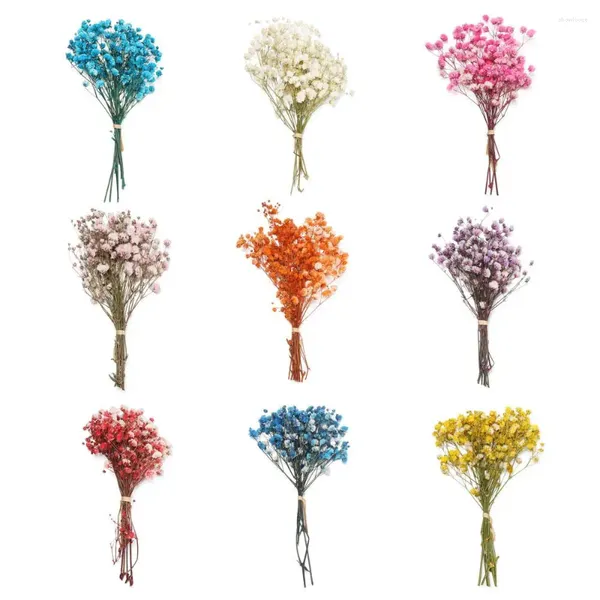 Dekoratif çiçekler renkli po sahne düğün dekor ev dekorasyon doğal kuru buketler bitki gövdeleri mini bysbreath gerçek çiçek