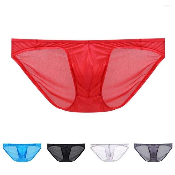 Unterhose Herren String Pouch Slips Höschen Mesh Sheer Durchsichtig Jugend Seidig Niedrige Taille Atmungsaktiv Weicher Bikini Sexy Unterwäsche