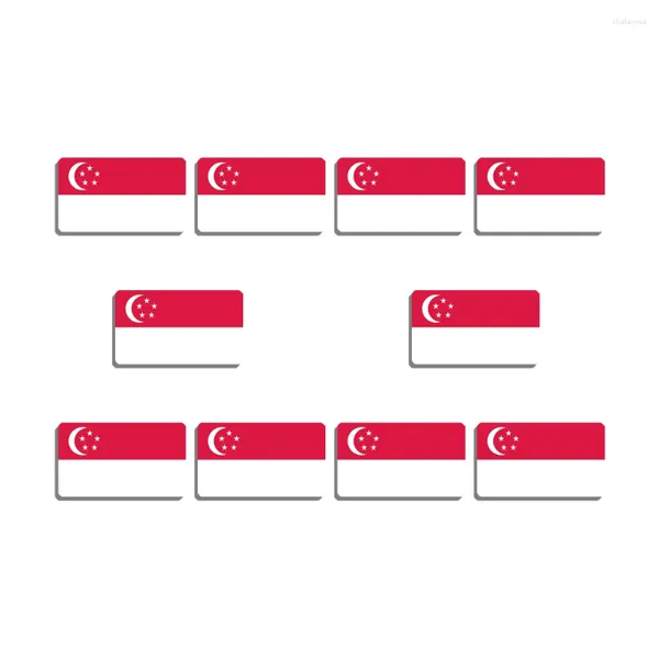 Broschen 10 Stück Brosche mit Singapur-Flagge, schöne Anstecknadel für Damen und Herren, Acryl, Patriotismus-Abzeichen, Tagungszubehör
