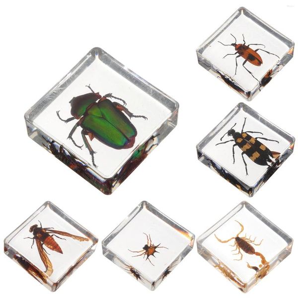 Decorações de jardim 6 pçs inseto espécime decoração casa resina adornar mesa jantar pequenos insetos decoração estudante desktop