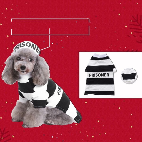 Maglione lavorato a maglia di zucca di Natale del vecchio animale domestico trasformato in mago Cappotto per cani