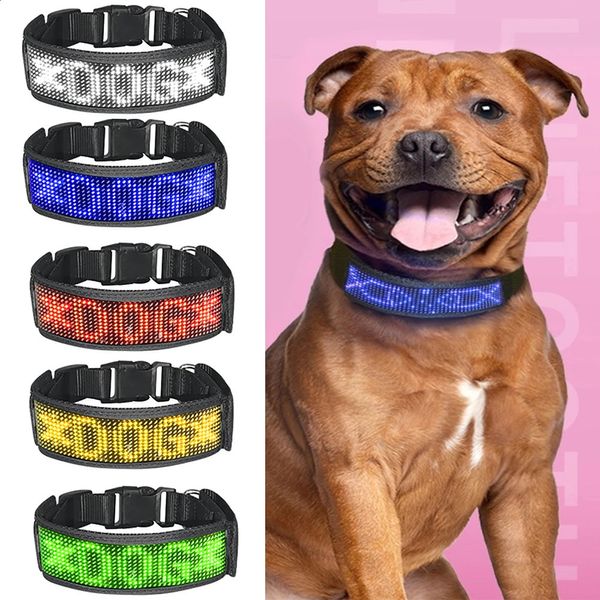 Köpek yaka tasma LED Pet Anti-Lost yaka Bluetooth Bağlantı Ayarlanabilir LED Köpek Adı İmzası USB Çoğu Evcil Hayvan 231110 için Şarj Edilebilir Aydınlatma Yakası